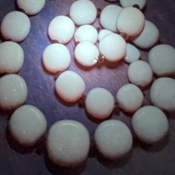 Antique Genuine Baltic Amber Egg Yolk Butterscotch Caramel Necklace Barrel Clasp - Picture 11 of 15